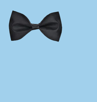 bow <br>ID: ZG00031