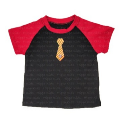 Party Wear Boys <br>   ID: ZG000111